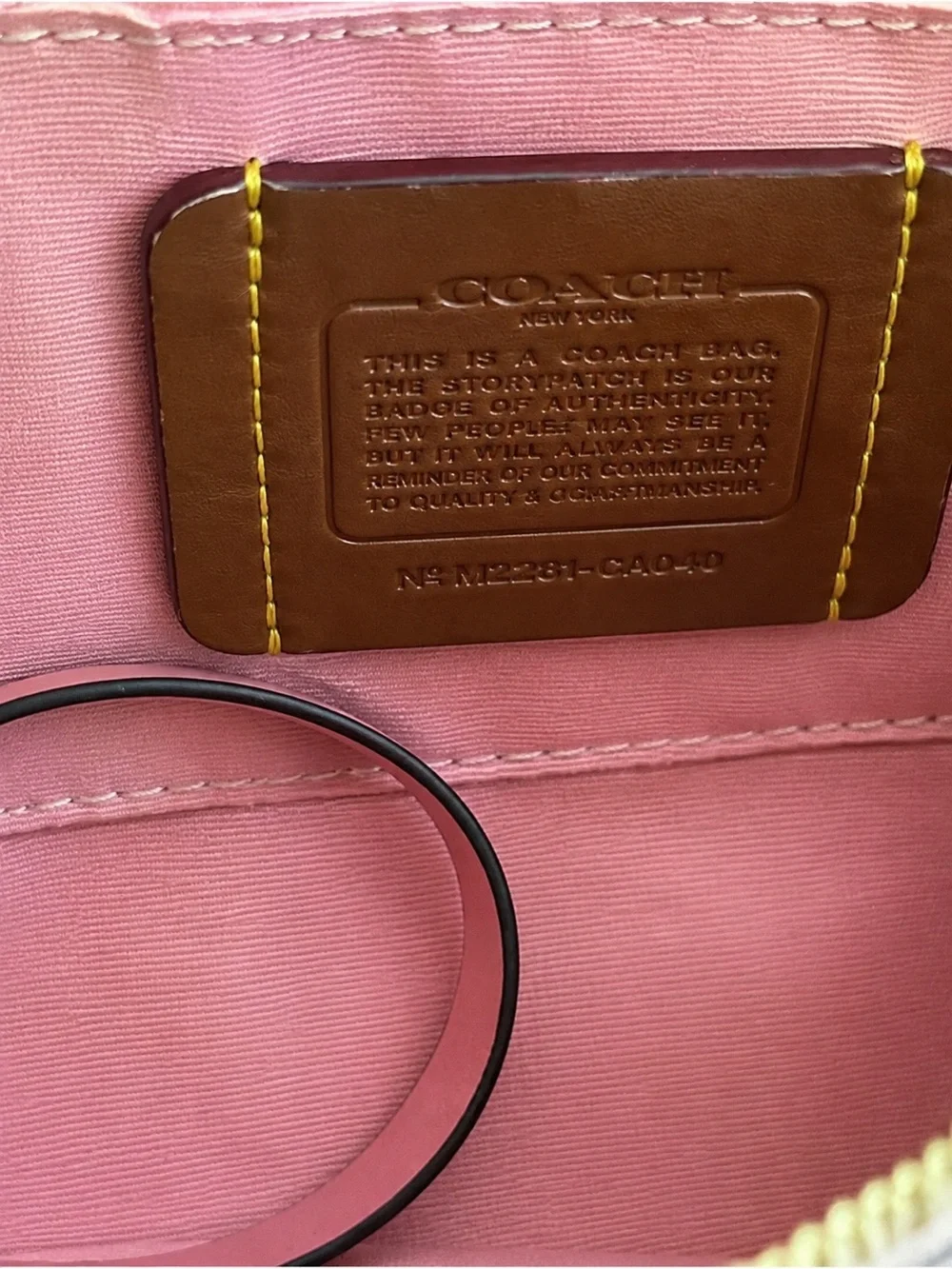 Coach Pink Signature Canvas Crossbody with Gold Chain Trim